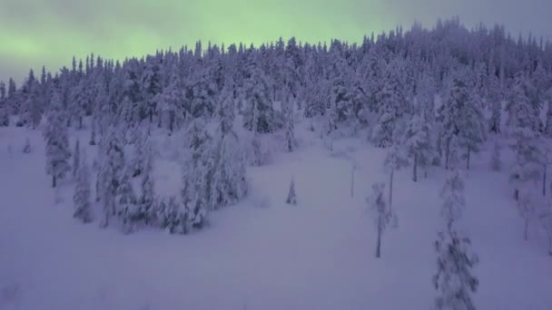 Episka Snöiga Norska Fjäll Med Granskog Snödrönares Flygbilder — Stockvideo