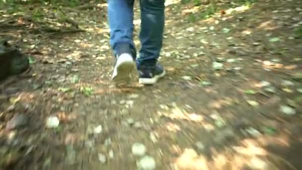Acercamiento Piernas Mujer Jeans Azules Zapatillas Deporte Caminando Por Ruta — Vídeos de Stock