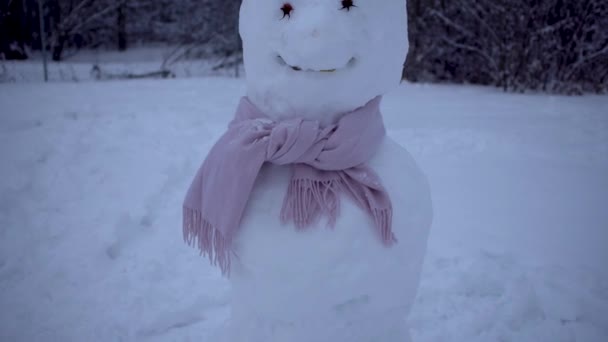 Усміхнений Сніговик Трояндовим Шарфом Рожевими Стегновими Очима Березовим Лісом Сніжний — стокове відео