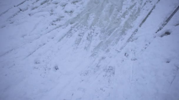 冬の森を背景にした雪に覆われた凍る海のスキールート — ストック動画