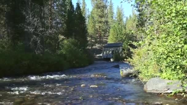 Καλυμμένη Γέφυρα Πάνω Από Ποτάμι — Αρχείο Βίντεο