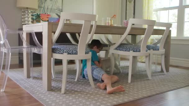 小さな男の子がダイニングテーブルの下からペットの犬を追いかけ — ストック動画