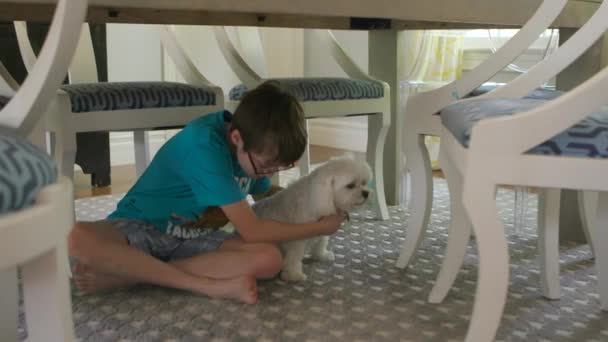 Aranyos Kisfiú Megpróbálja Megölelni Kutyáját Étkező Asztal Alatt — Stock videók