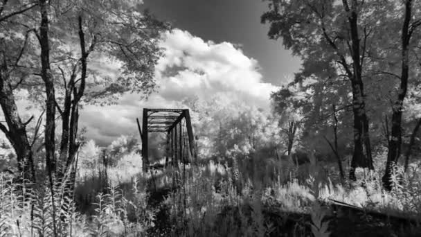 Lasso Tempo Artistico Bianco Nero Che Ingrandisce Vecchio Ponte Capriate — Video Stock