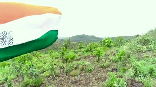 Beautiful Tri Color Flag Flying Top Mountain — Stock Video