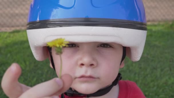 青い自転車のヘルメットを被った少年が カメラの前でタンポポの花と笑顔を掲げている — ストック動画