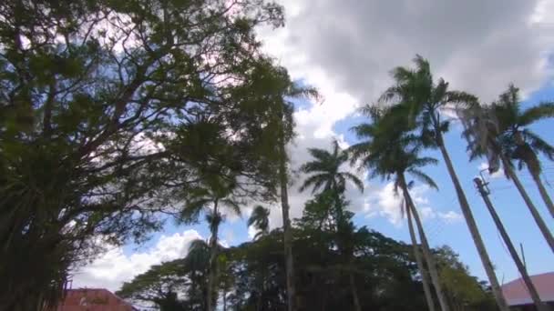 Trópusi Kék Égbolt — Stock videók