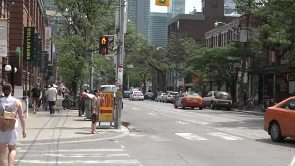 Caminando Por Las Calles Toronto Día Brillante Bajo Ángulo Tiro — Vídeos de Stock