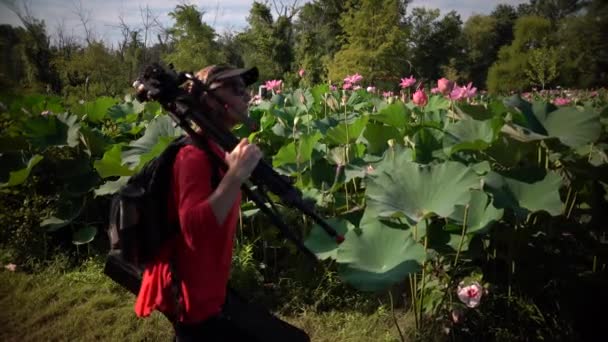 Steadicam Movimiento Fotógrafo Mientras Camina Con Trípode Equipo Entre Flores — Vídeo de stock