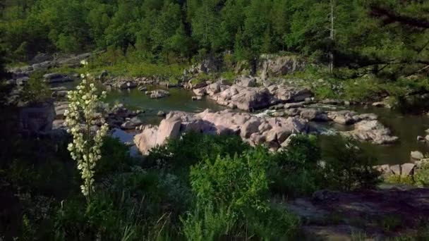 Missouri Ruisseau Vue — Video