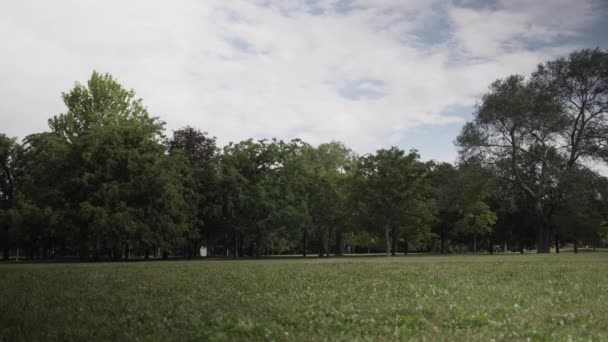 Man Cykla Genom Park Med Grönt Gräs Och Träd Fjärran — Stockvideo