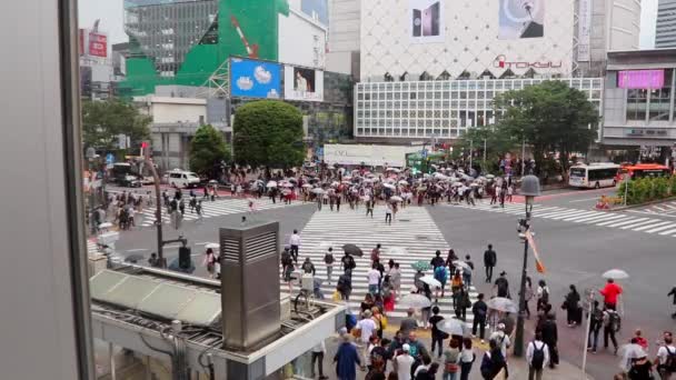 Velký Dav Chodců Začíná Procházet Proslulém Shibuya Crossing Tokiu Japonsko — Stock video