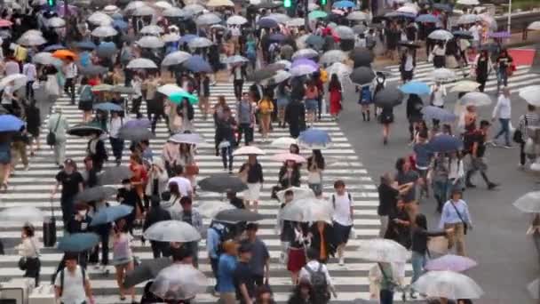 東京の渋谷スクランブル交差点を歩く歩行者 日本のスローモーション — ストック動画