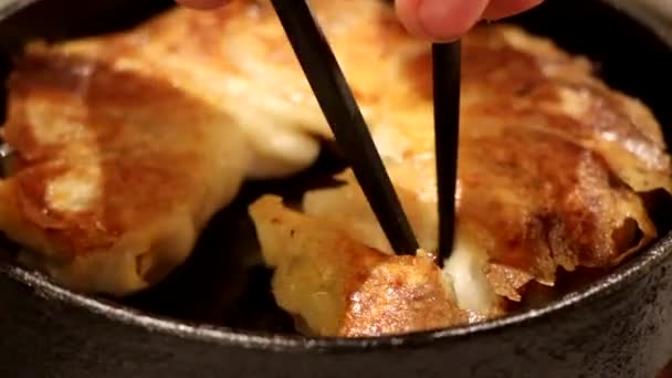 Gyoza Alimentaire Avec Baguettes Tokyo Japon Gros Plan — Video