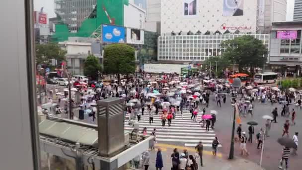 Caducidad Tráfico Multitudes Famoso Cruce Shibuya Tokio Japón — Vídeos de Stock