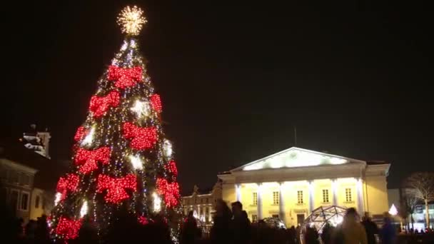 Gyönyörű Karácsonyfa Éjszaka Lejárta Vilnius Litvánia — Stock videók