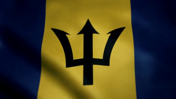Barbados Flagga Långsamma Rörelser Loopar Animation Idealisk För Idrottsevenemang Ledd — Stockvideo