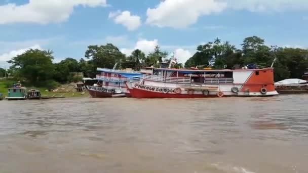 亚马逊河与巴西的亚马逊森林 — 图库视频影像