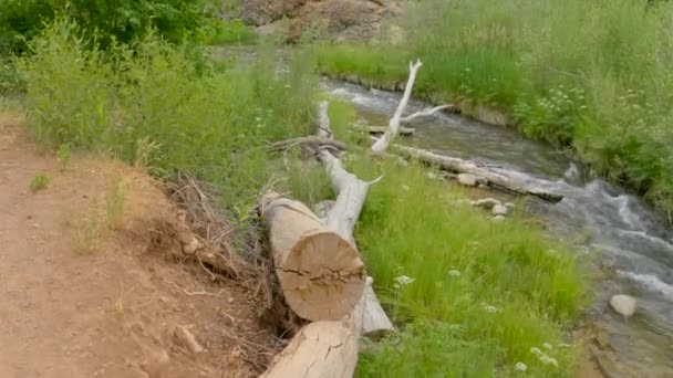 Kleiner Fluss Einer Grasbewachsenen Landschaft Mit Langsamer Neigung — Stockvideo