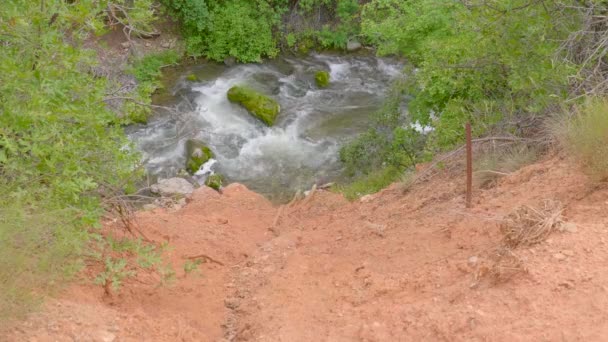 Prudký Sestup Redrocku Řeky Skalami Denního Světla — Stock video