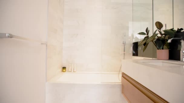 曼哈顿公寓的一间空浴室 — 图库视频影像
