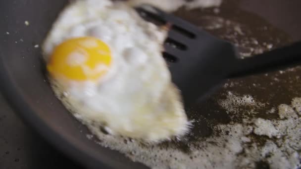 Egg Frying Hot Pan — Stock Video