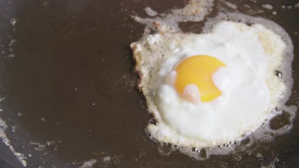 Яйцо Жарится Горячей Кастрюле — стоковое видео