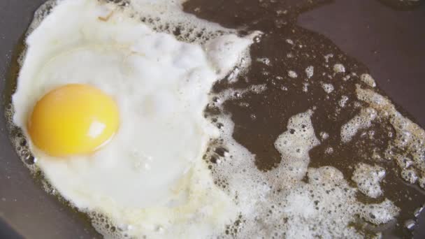 Freír Huevos Una Sartén Caliente — Vídeo de stock