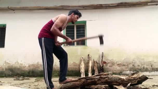 Genç Enerjik Bir Çocuk Ateş Için Odunları Parçalara Ayırıyor — Stok video