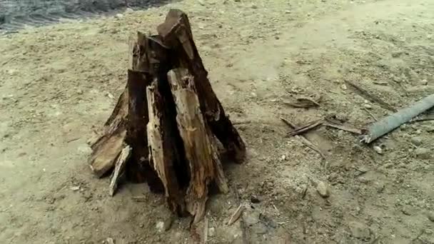 Ein Junger Energischer Junge Der Holz Für Ein Feuer Zerlegt — Stockvideo