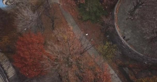 Flying Harlem Park Birdseye View — Stock Video