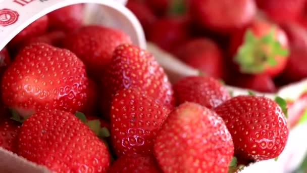 Primer Plano Algunas Fresas Mercado Luz Mañana — Vídeo de stock