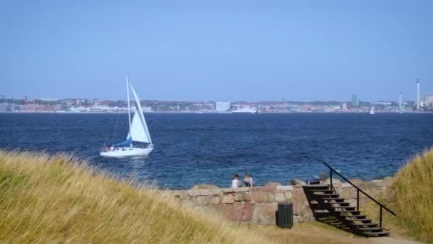 Tráfico Marítimo Estrecho Sound Visto Desde Castillo Kronborg — Vídeos de Stock