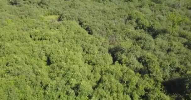 4K无人机画面揭示伊利诺伊州一个美丽的山谷 — 图库视频影像