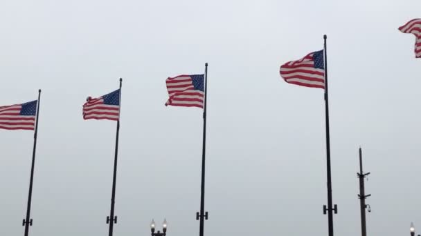 Fila Bandeiras Americanas Que Voam Vento — Vídeo de Stock