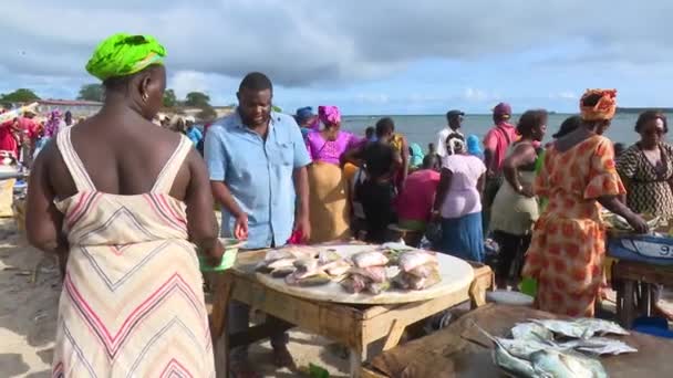 Žena Prodávající Ryby Soumbedioune Rybí Trh Dakar Sengal Dva Klipy — Stock video