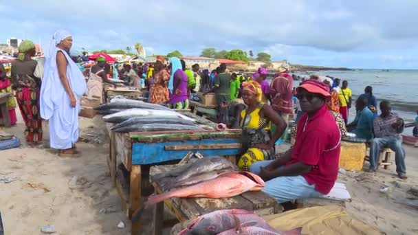 Balık Satıcıları Dakar Senegal Deki Soumbedioune Balık Pazarında Müşteri Bekliyor — Stok video