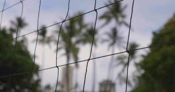 Volleybalnet Met Palmbomen Achtergrond Het Strand — Stockvideo