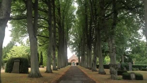 Danimarka Nın Roskilde Şehrinde Şapel Mezar Taşlarıyla Dolu Bir Ağaç — Stok video