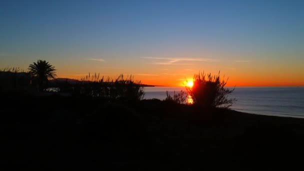 地中海を渡る朝の日の出を追いかける葦のベッドを通してビーチを歩く — ストック動画