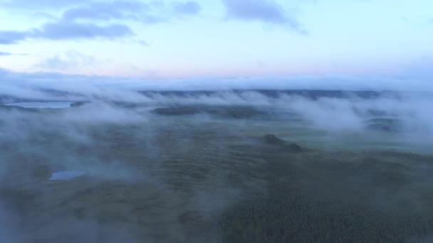 Luftaufnahme Durch Wolken Über Wald Und Sumpf — Stockvideo