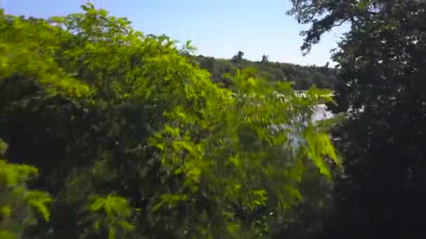 ドローンは森に囲まれた湖を明らかにするために木の上を飛ぶ — ストック動画