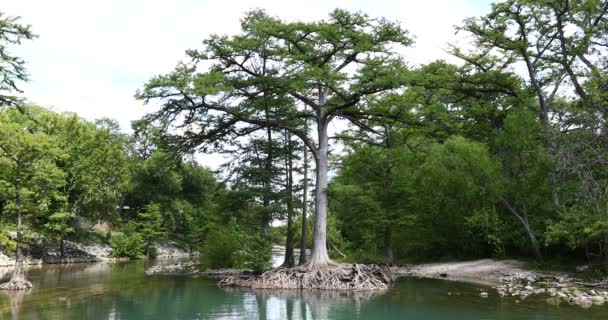 Video Guadalupe River Just Dam Canyon Lake — Stock Video