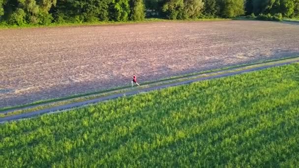 Man Woman Running Pathway Shot Aerial View Evening — Stock Video