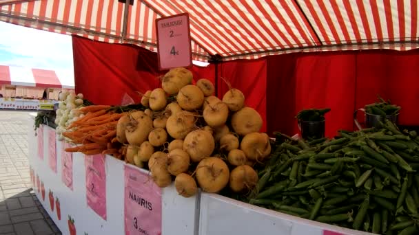 Market Stall Fresh Vegetable — Stock Video