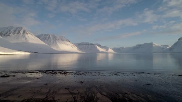 Montagne Che Riflettono Nel Limpido Oceano Nei Fiordi Occidentali Dell — Video Stock