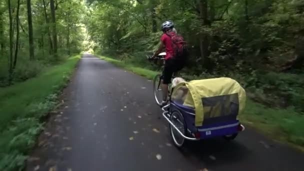 トレーラーを閉じ 犬を自転車に乗せて年配の女性に引っ張られる — ストック動画