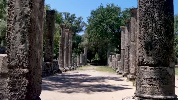 Ancient Olympia Archea Olympia — стокове відео