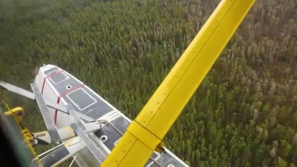 在德哈维兰海狸的森林上空低空飞行 — 图库视频影像
