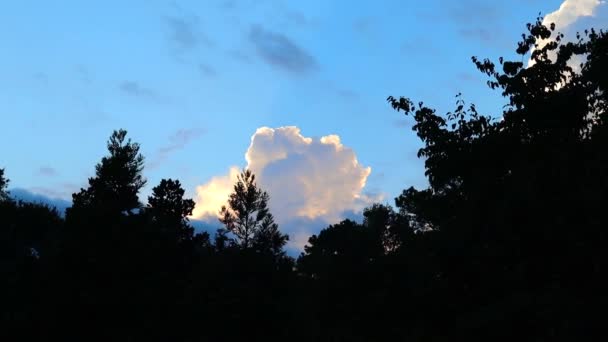 温暖的夏夜云彩映衬在当地树木的衬托下 — 图库视频影像